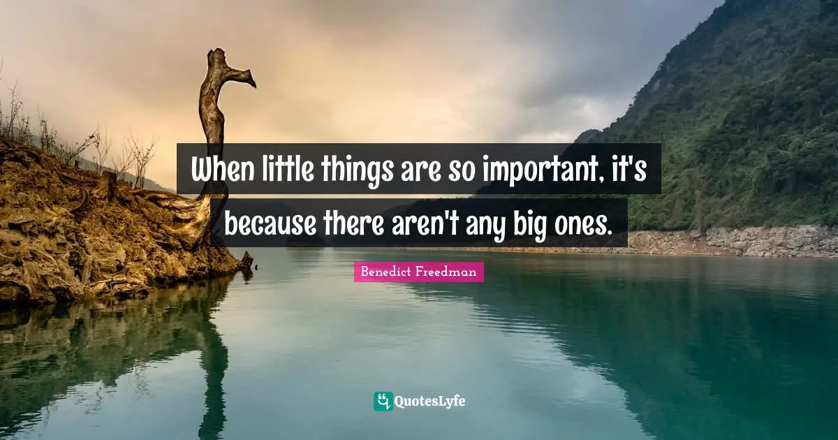 When little things are so important, it's because there aren't any big ones.