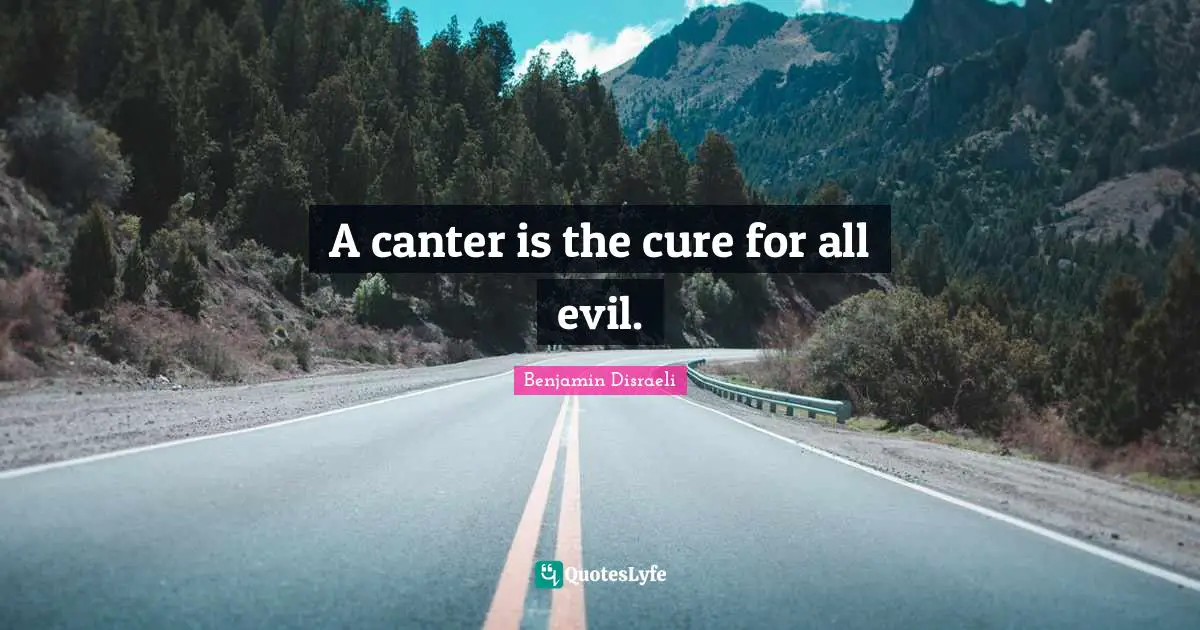 A canter is the cure for all evil.