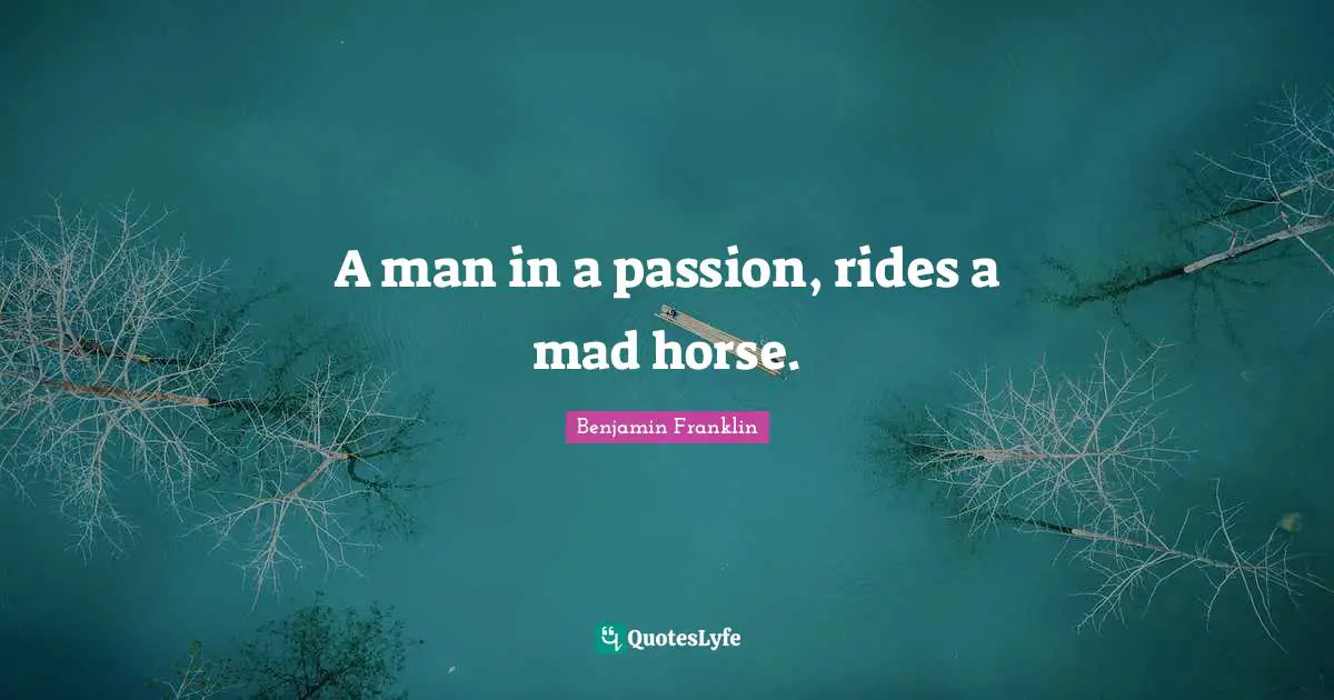Wisdom Wise Quotes: "A man in a passion, rides a mad horse."