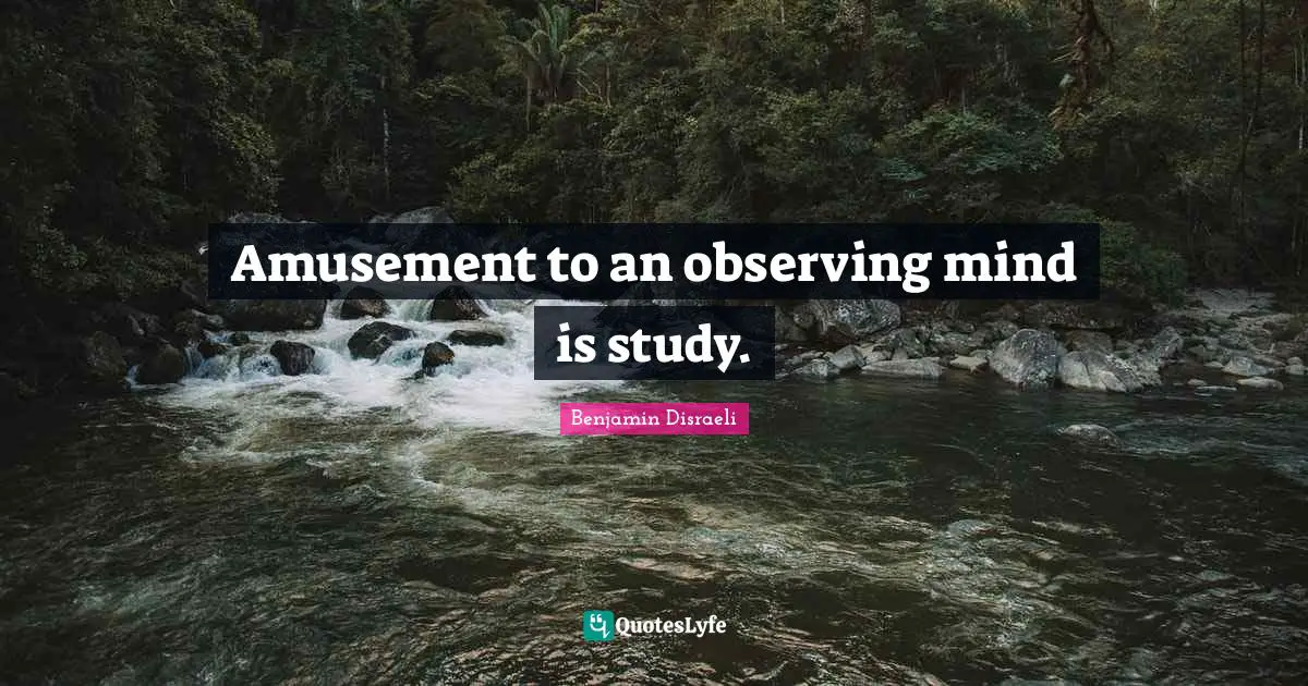 Amusement to an observing mind is study.