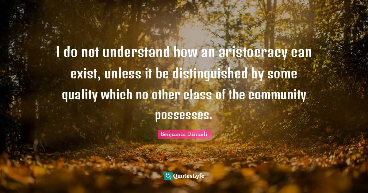 I do not understand how an aristocracy can exist, unless it be distinguished by some quality which no other class of the community possesses.
