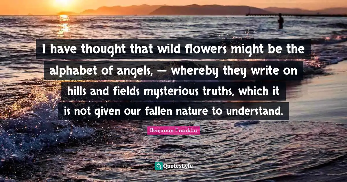 I have thought that wild flowers might be the alphabet of angels, — whereby they write on hills and fields mysterious truths, which it is not given our fallen nature to understand.
