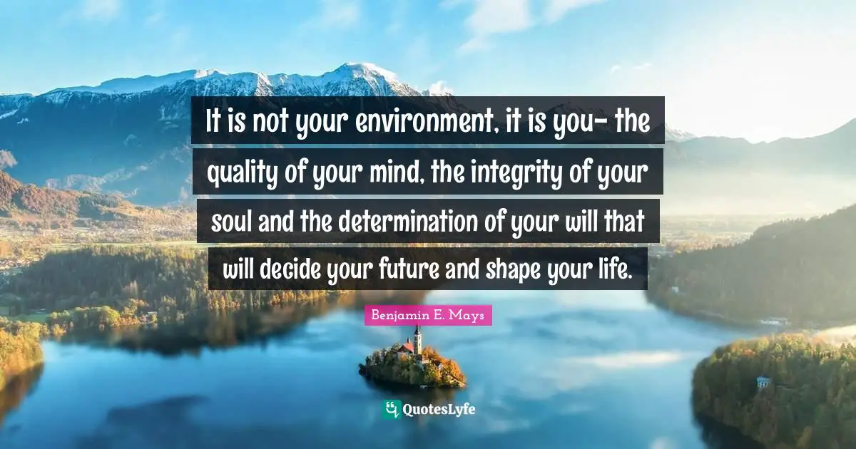 Benjamin E. Mays Quotes: It is not your environment, it is you- the quality of your mind, the integrity of your soul and the determination of your will that will decide your future and shape your life.