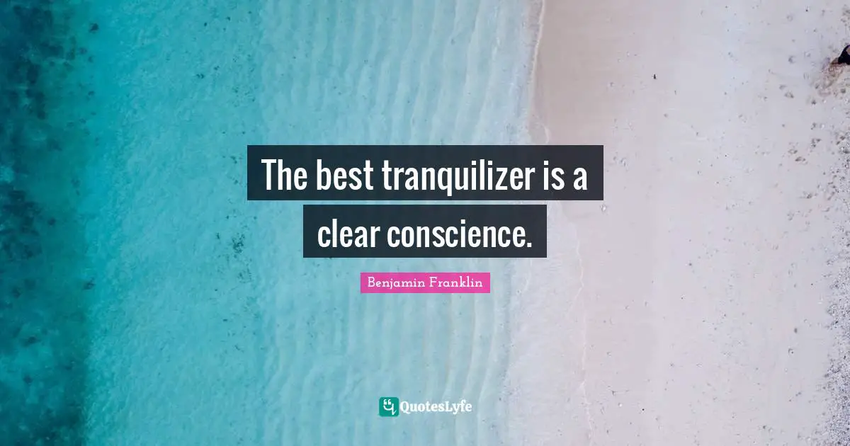 The best tranquilizer is a clear conscience.