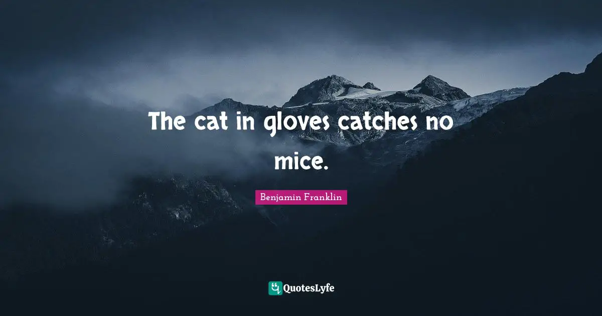 The cat in gloves catches no mice.