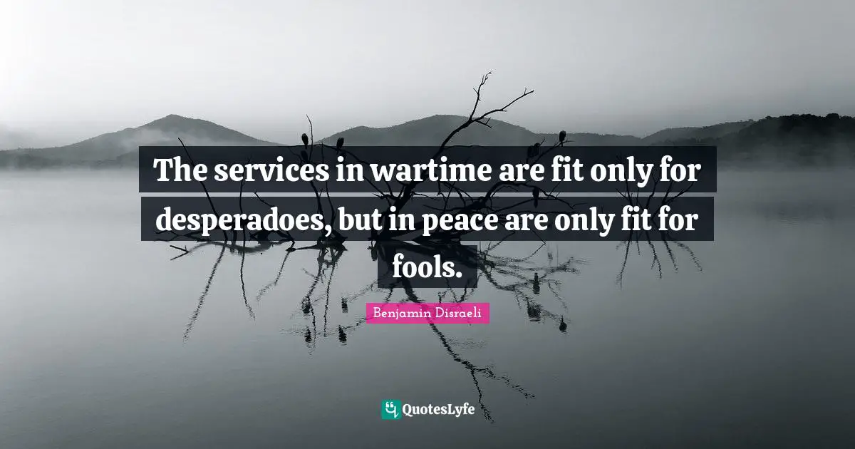 The services in wartime are fit only for desperadoes, but in peace are only fit for fools.