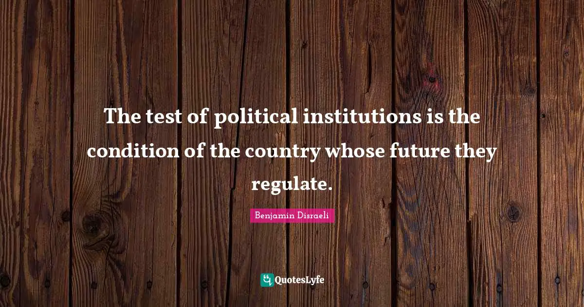 The test of political institutions is the condition of the country whose future they regulate.