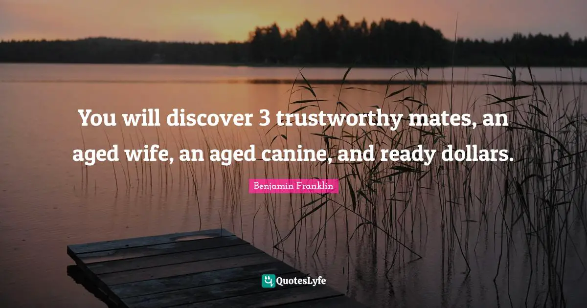 You will discover 3 trustworthy mates, an aged wife, an aged canine, and ready dollars.