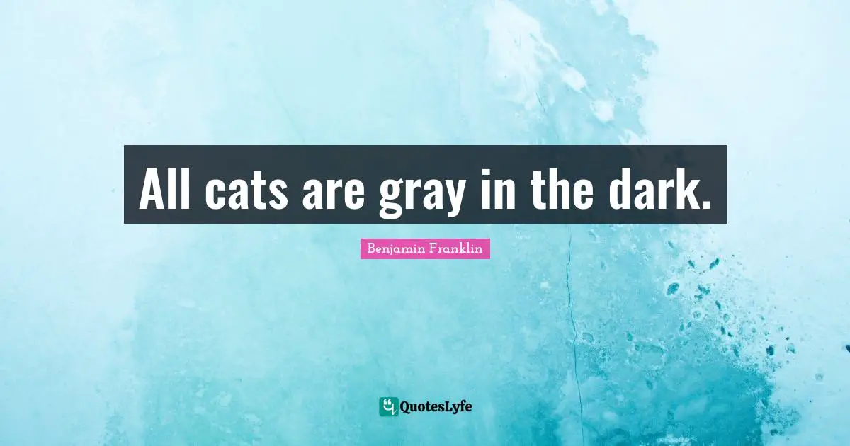 All cats are gray in the dark.