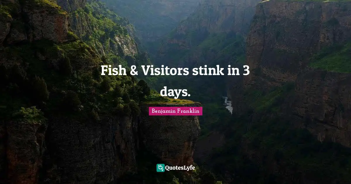 Fish & Visitors stink in 3 days.