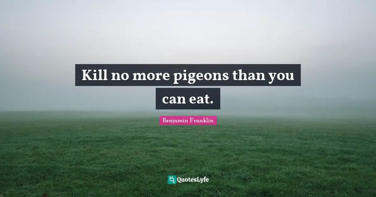 Kill no more pigeons than you can eat.