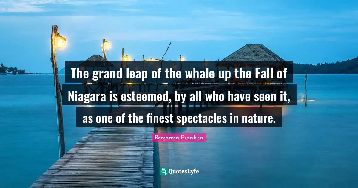 The grand leap of the whale up the Fall of Niagara is esteemed, by all who have seen it, as one of the finest spectacles in nature.