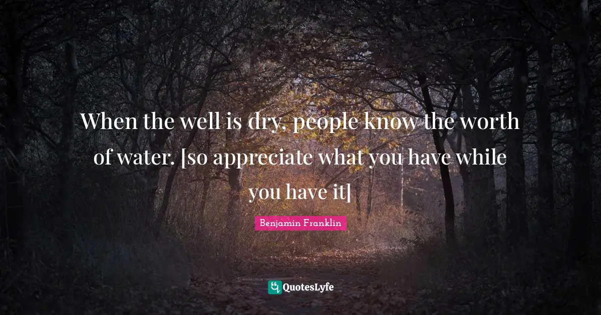 When the well is dry, people know the worth of water. [so appreciate what you have while you have it]