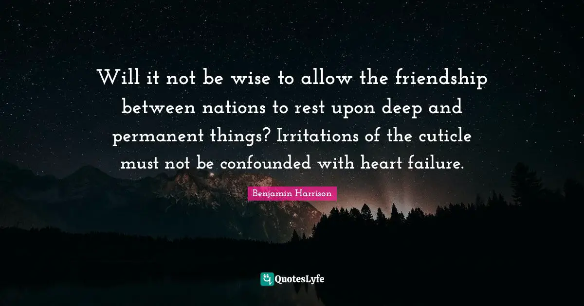 Irritation Quotes: "Will it not be wise to allow the friendship between nations to rest upon deep and permanent things? Irritations of the cuticle must not be confounded with heart failure."
