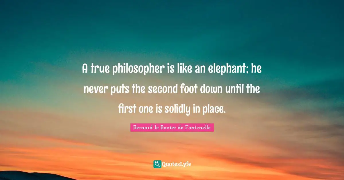 Elephants Quotes: "A true philosopher is like an elephant; he never puts the second foot down until the first one is solidly in place."