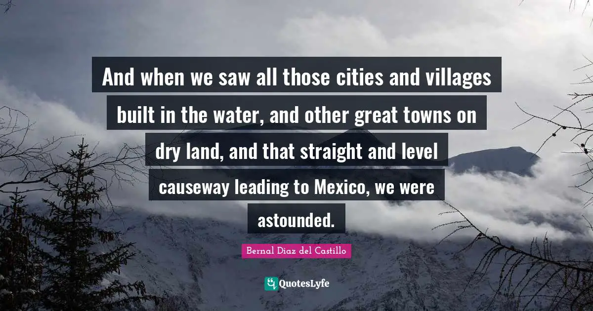 And when we saw all those cities and villages built in the water, and other great towns on dry land, and that straight and level causeway leading to Mexico, we were astounded.