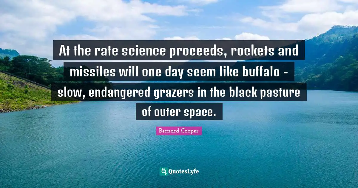 At the rate science proceeds, rockets and missiles will one day seem like buffalo - slow, endangered grazers in the black pasture of outer space.