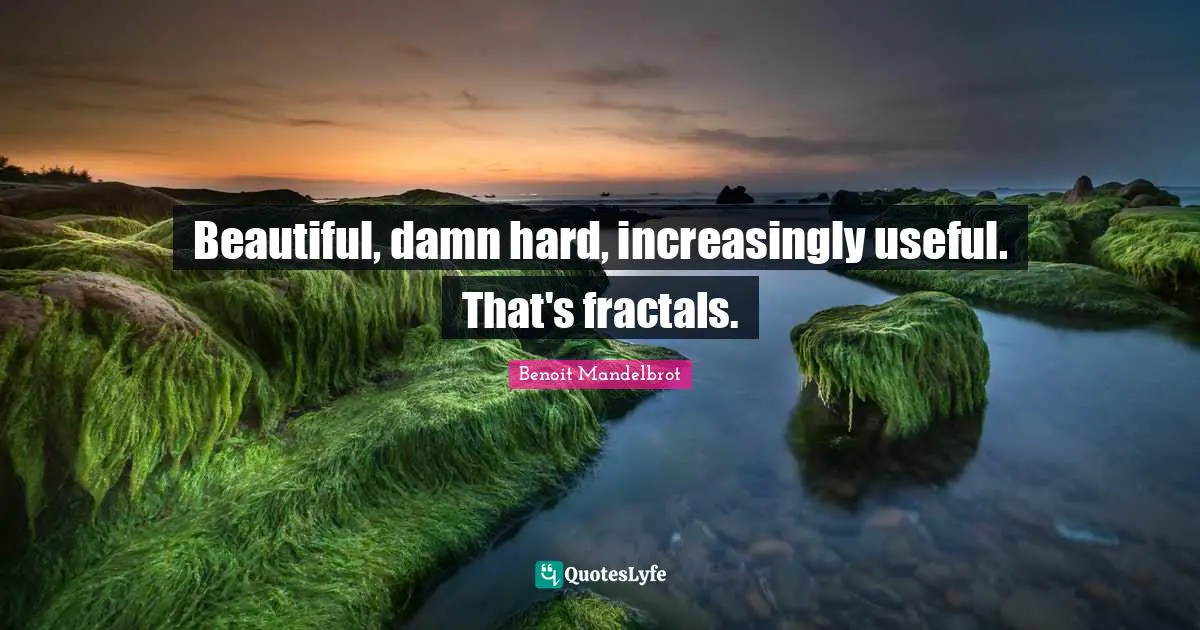 Beautiful, damn hard, increasingly useful. That's fractals.