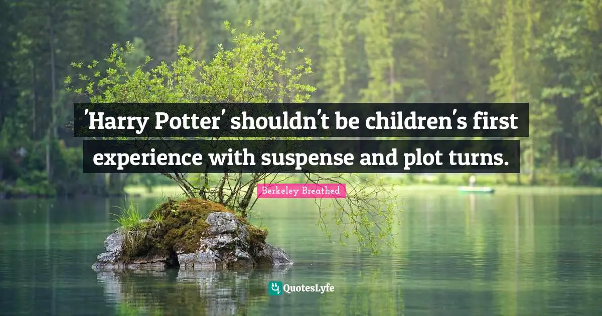 'Harry Potter' shouldn't be children's first experience with suspense and plot turns.