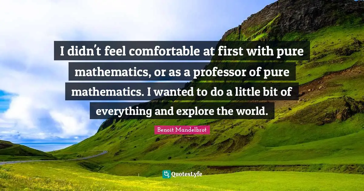 I didn't feel comfortable at first with pure mathematics, or as a professor of pure mathematics. I wanted to do a little bit of everything and explore the world.