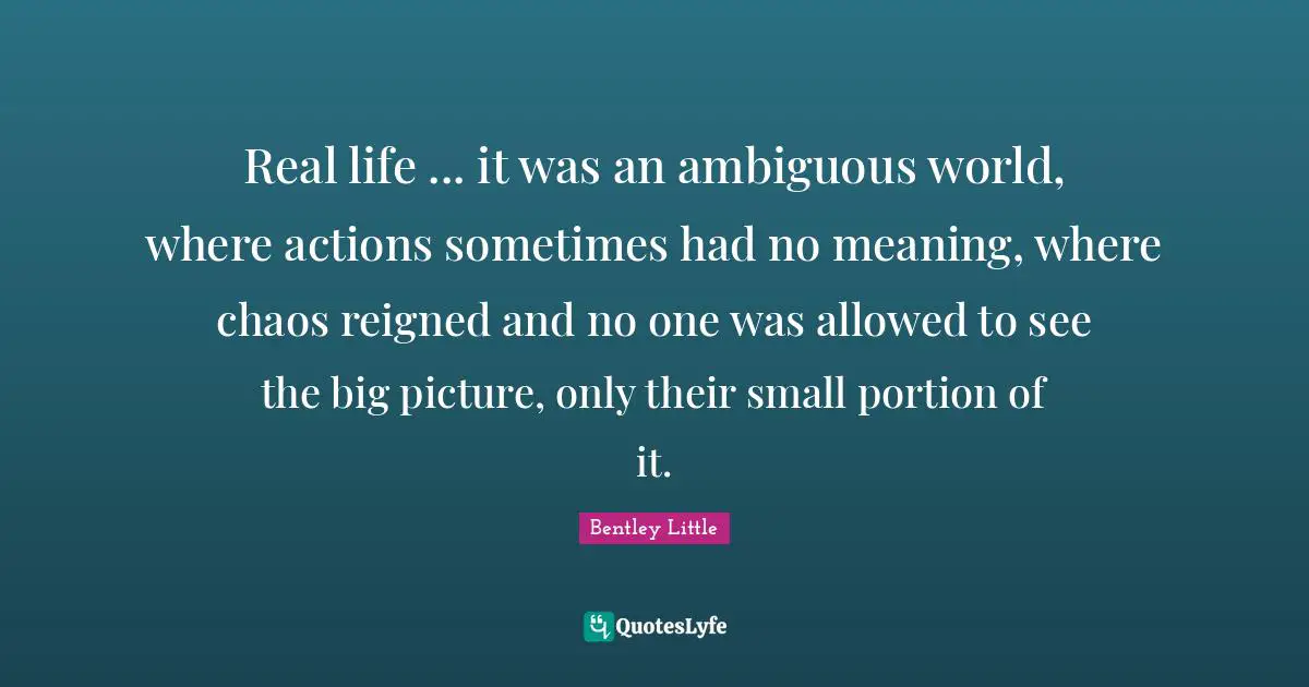 Real life ... it was an ambiguous world, where actions sometimes had no meaning, where chaos reigned and no one was allowed to see the big picture, only their small portion of it.
