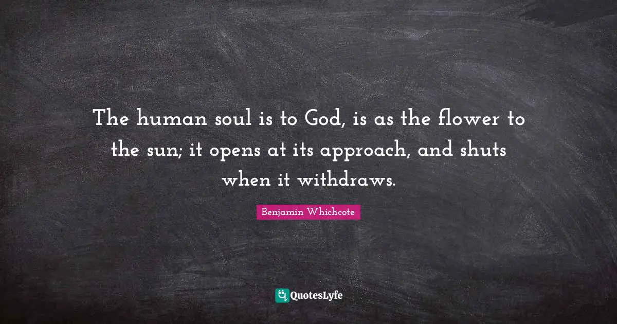 The human soul is to God, is as the flower to the sun; it opens at its approach, and shuts when it withdraws.