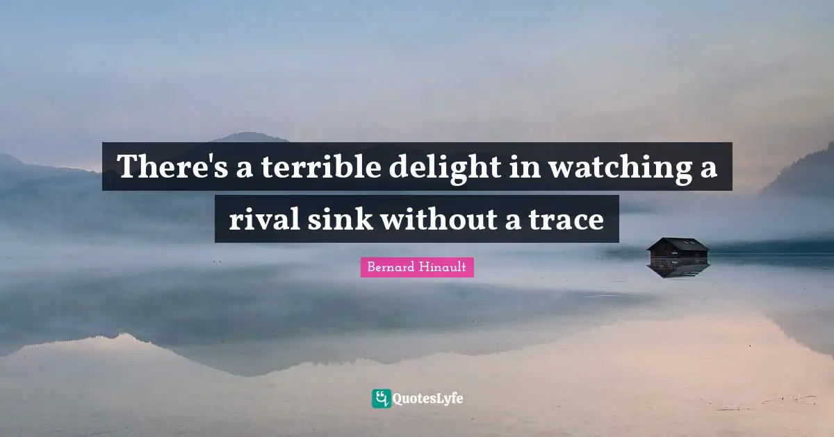 Without A Trace Quotes: "There's a terrible delight in watching a rival sink without a trace"