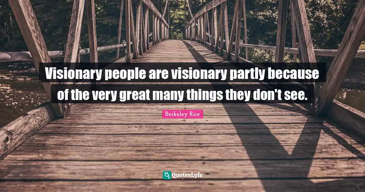 Visionaries Quotes: "Visionary people are visionary partly because of the very great many things they don't see."