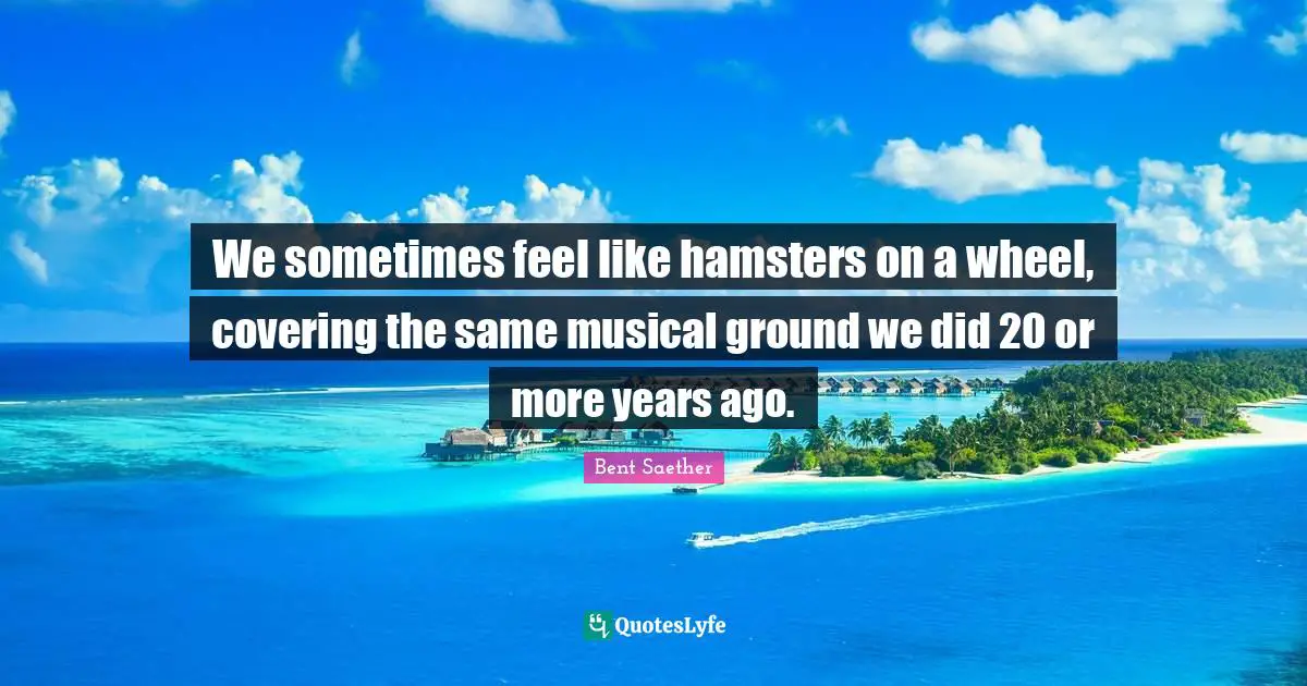 Covering Quotes: "We sometimes feel like hamsters on a wheel, covering the same musical ground we did 20 or more years ago."