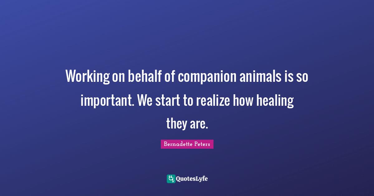 Working on behalf of companion animals is so important. We start to realize how healing they are.