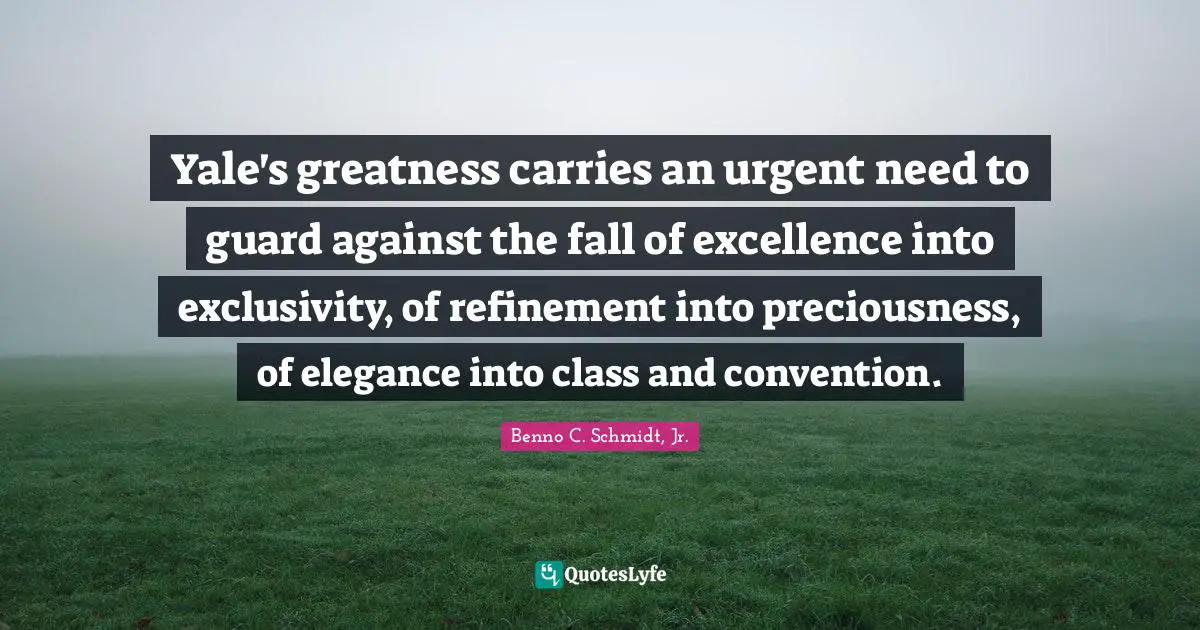 Yale's greatness carries an urgent need to guard against the fall of excellence into exclusivity, of refinement into preciousness, of elegance into class and convention.