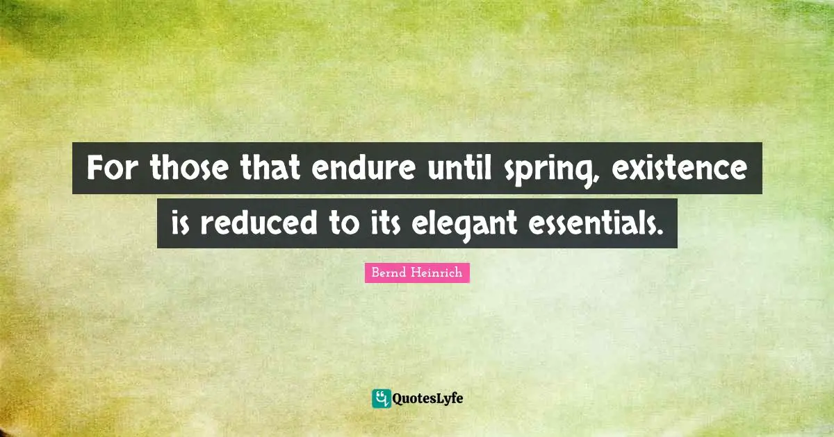For those that endure until spring, existence is reduced to its elegant essentials.