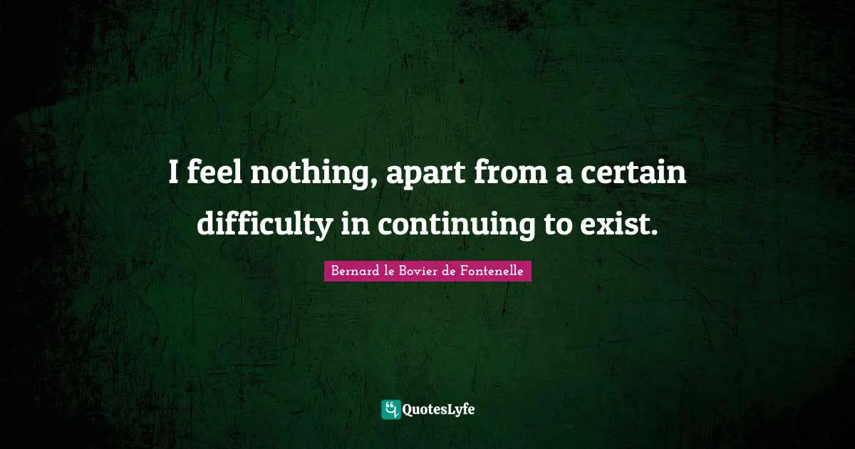 I feel nothing, apart from a certain difficulty in continuing to exist.