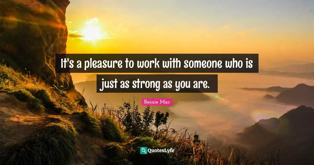 Bernie Mac Quotes: "It's a pleasure to work with someone who is just as strong as you are."