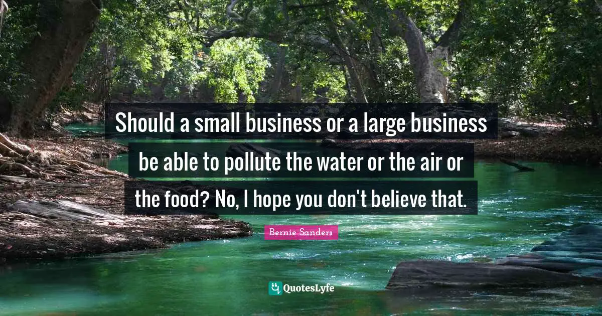 Small Business Quotes: "Should a small business or a large business be able to pollute the water or the air or the food? No, I hope you don't believe that."