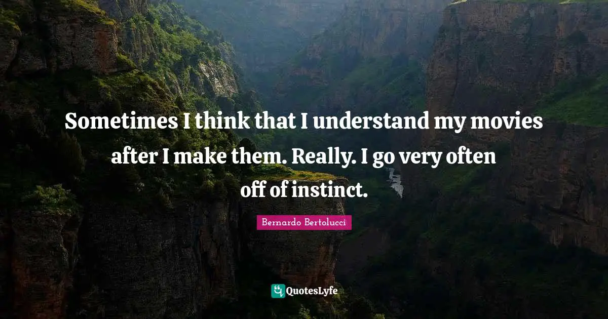 Sometimes I think that I understand my movies after I make them. Really. I go very often off of instinct.