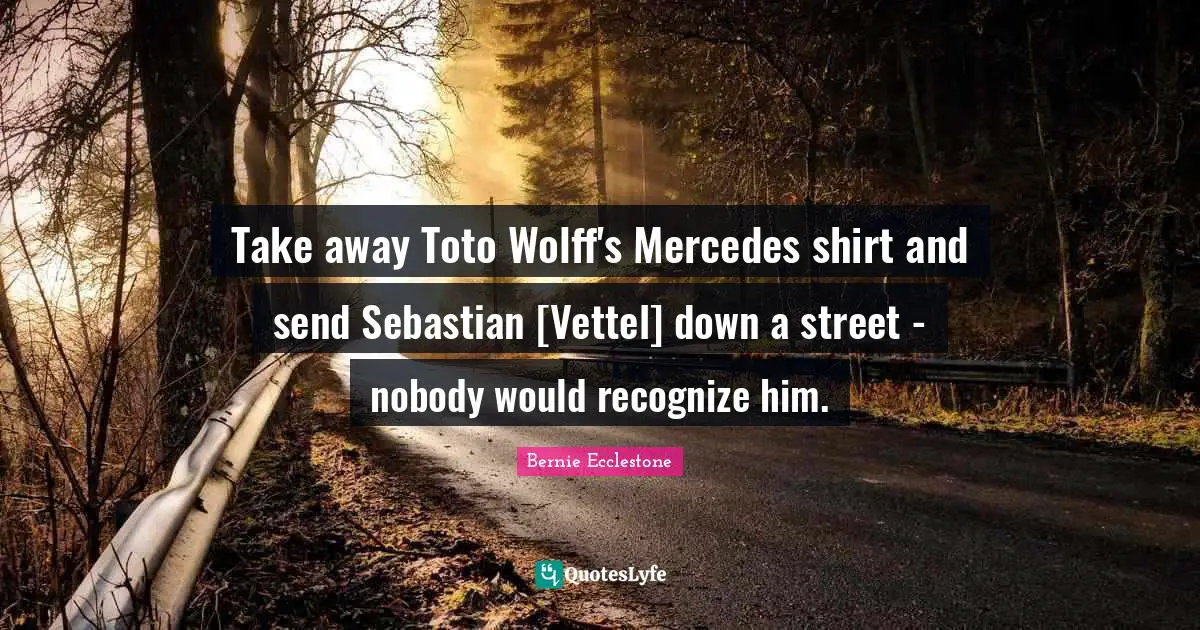 Take away Toto Wolff's Mercedes shirt and send Sebastian [Vettel] down a street - nobody would recognize him.