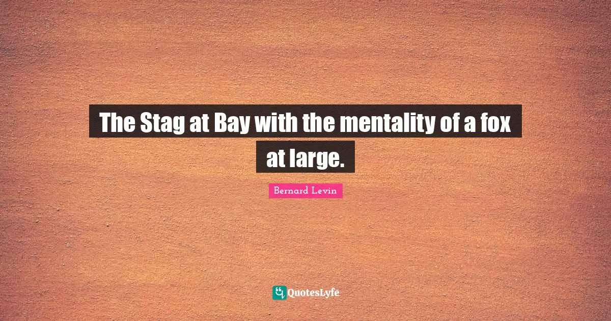 The Stag at Bay with the mentality of a fox at large.