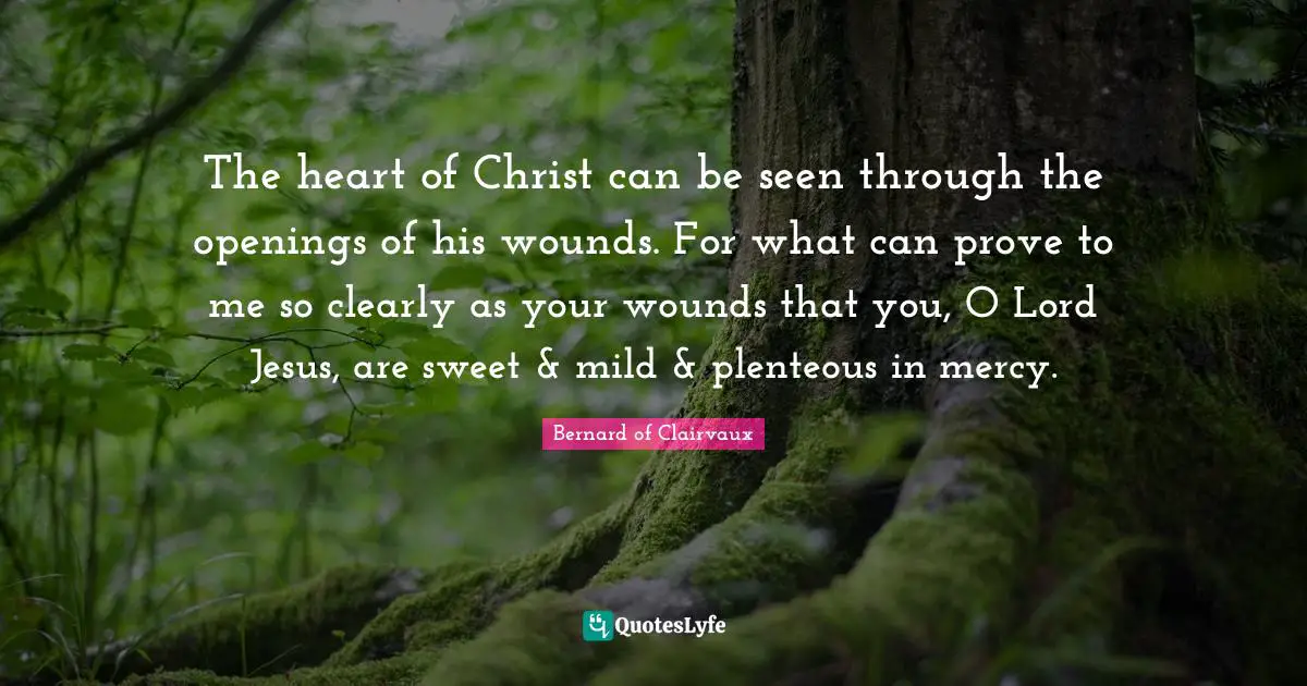 Bernard Of Clairvaux Quotes: "The heart of Christ can be seen through the openings of his wounds. For what can prove to me so clearly as your wounds that you, O Lord Jesus, are sweet & mild & plenteous in mercy."