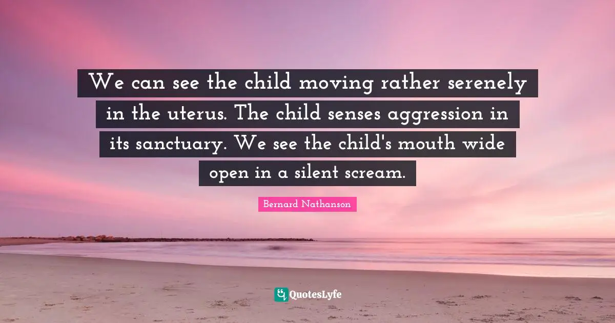 Aggression Quotes: "We can see the child moving rather serenely in the uterus. The child senses aggression in its sanctuary. We see the child's mouth wide open in a silent scream."
