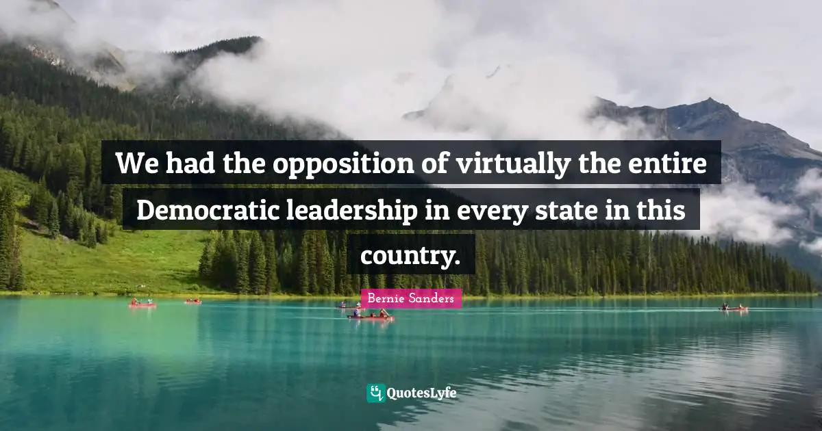 We had the opposition of virtually the entire Democratic leadership in every state in this country.