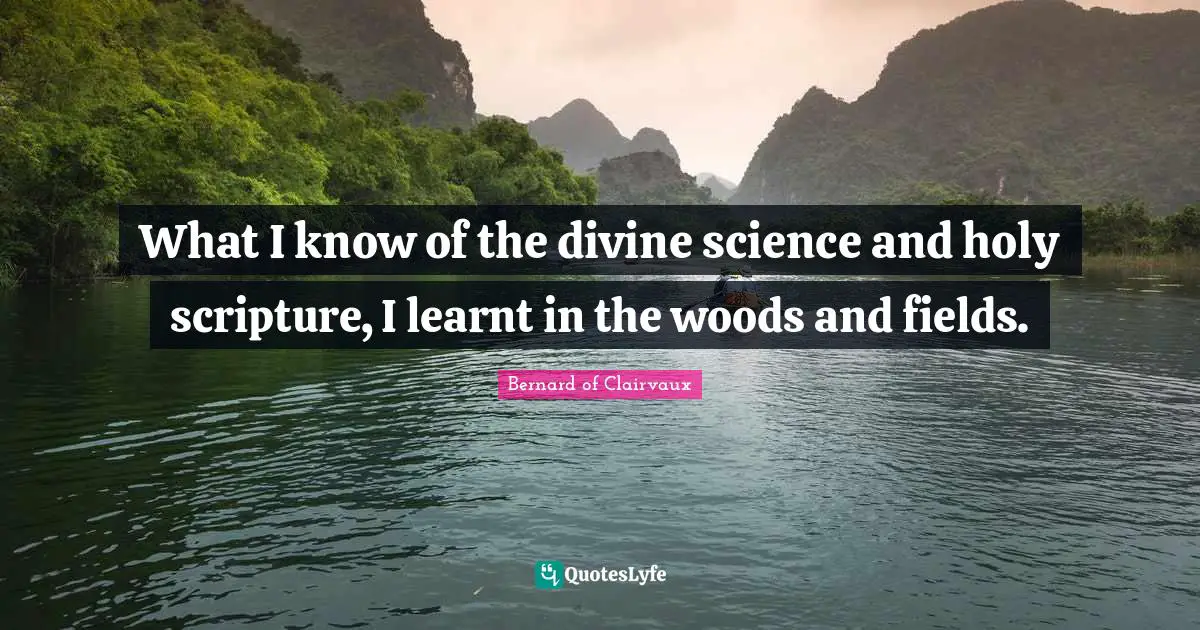 What I know of the divine science and holy scripture, I learnt in the woods and fields.