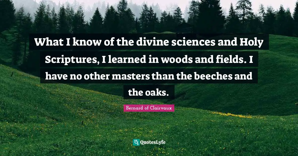 Bernard Of Clairvaux Quotes: "What I know of the divine sciences and Holy Scriptures, I learned in woods and fields. I have no other masters than the beeches and the oaks."