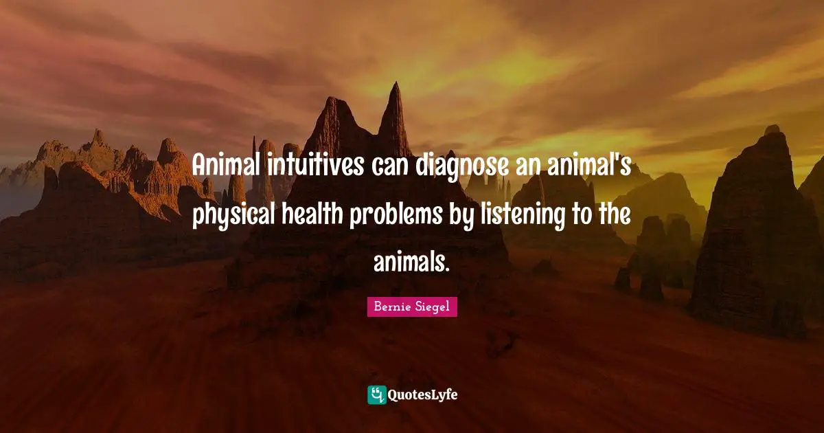 Animal intuitives can diagnose an animal's physical health problems by listening to the animals.