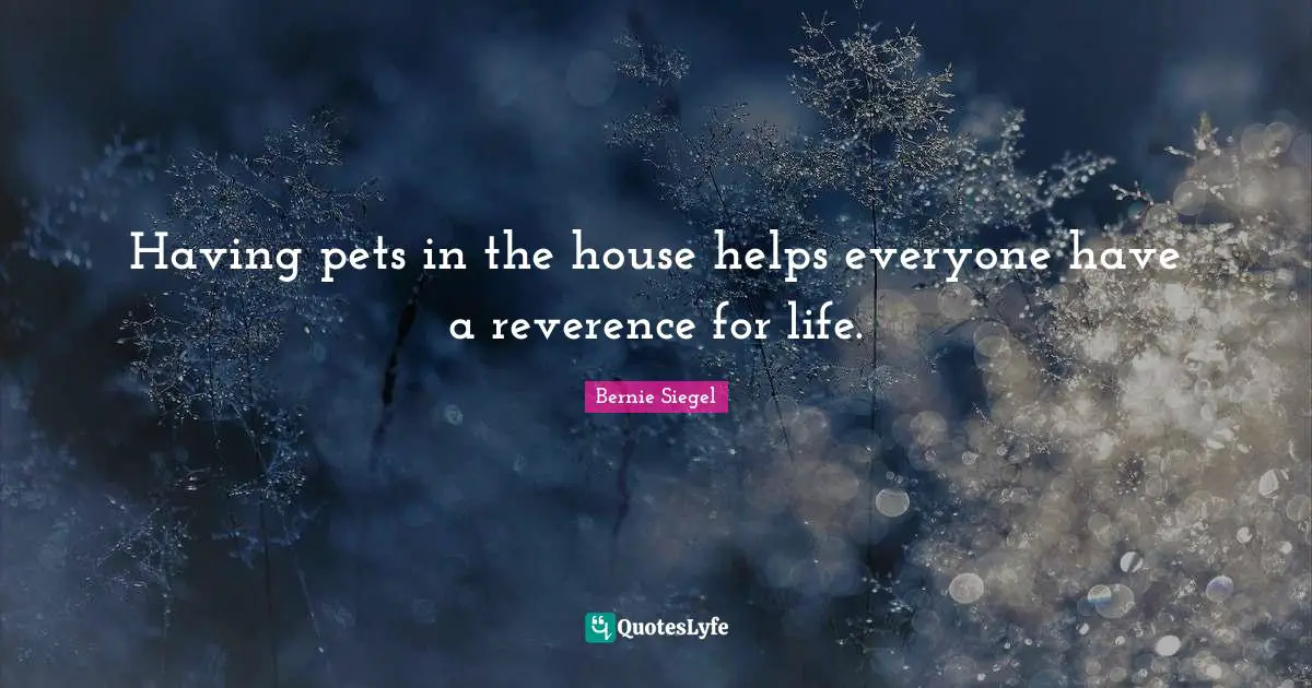Having pets in the house helps everyone have a reverence for life.