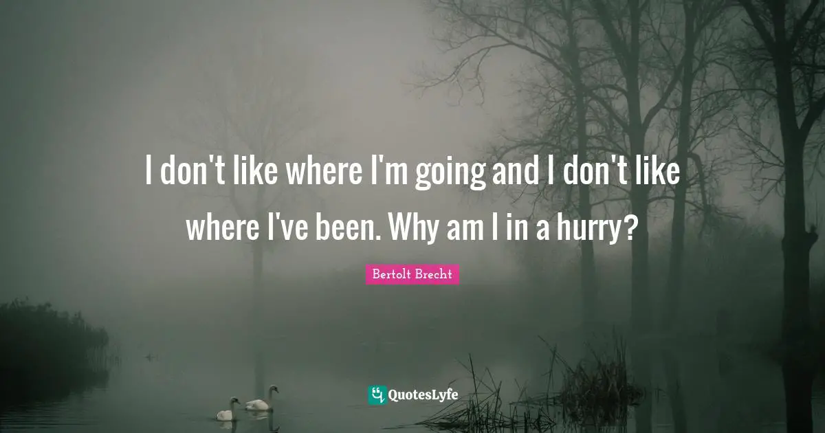 I don't like where I'm going and I don't like where I've been. Why am I in a hurry?