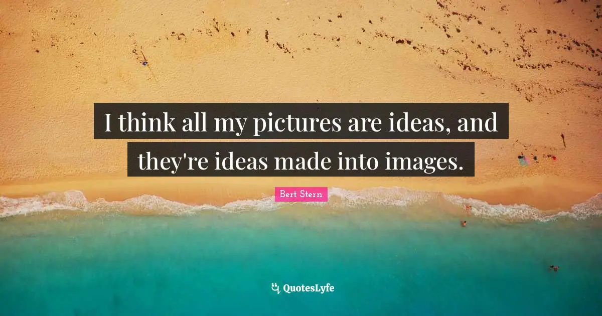 I think all my pictures are ideas, and they're ideas made into images.