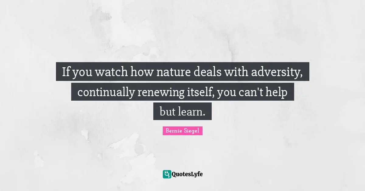 If you watch how nature deals with adversity, continually renewing itself, you can't help but learn.