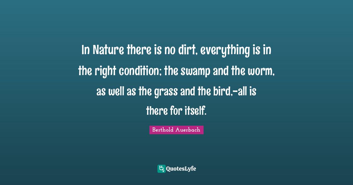 In Nature there is no dirt, everything is in the right condition; the swamp and the worm, as well as the grass and the bird,-all is there for itself.