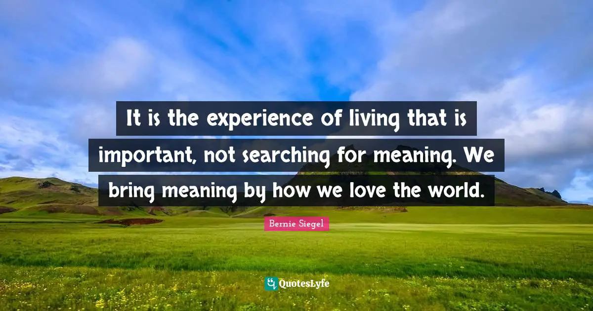 It is the experience of living that is important, not searching for meaning. We bring meaning by how we love the world.
